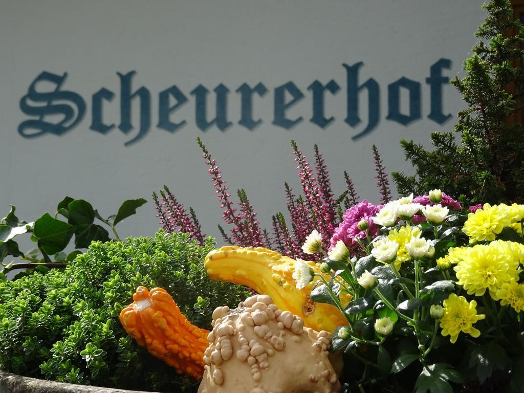 דירות טוקס Scheurerhof חדר תמונה